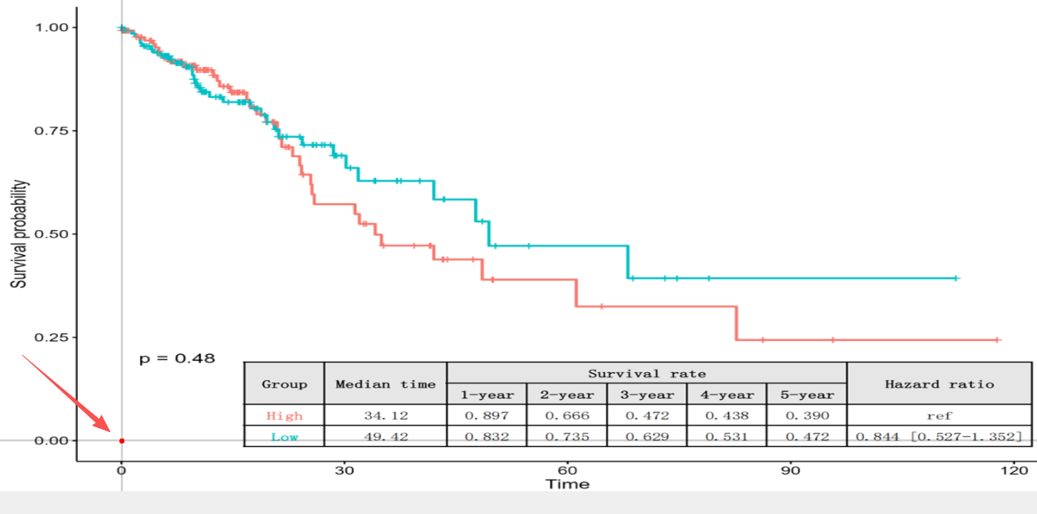 image-20250115171235952